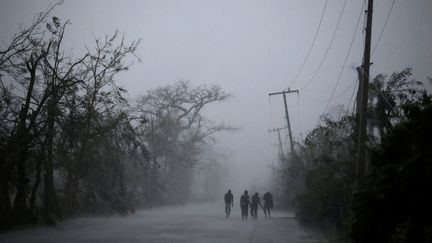 Une route de Les Cayes (Haïti) balayée par l'ouragan Matthew le 4 octobre 2016.&nbsp; (ANDRES MARTINEZ CASARES / REUTERS)