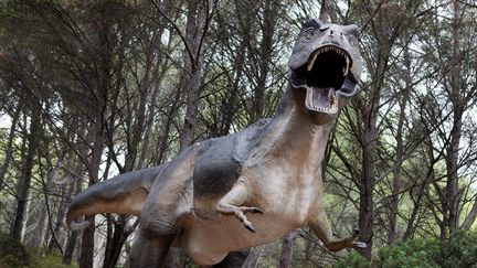 Les humains vieillissent plus vite à cause des dinosaures, selon une étude anglaise. Photo d'illustration. (GUILLAUME BONNEFONT / MAXPPP)