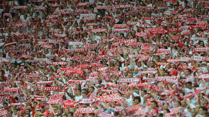 Le public polonais pla&ccedil;ait de gros espoirs dans son &eacute;quipe. En vain? (DIMITAR DILKOFF / AFP)