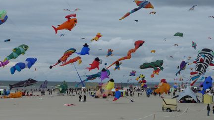 Rencontres de cerf-volants sur la plage à Berck-sur-Mer (Pas-de-Calais) en 2012. Illustration. (MATTHIEU DARRIET / FRANCE-BLEU NORD)