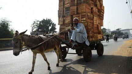 Un livreur de cageots dans les rues de Karachi, le 16 novembre 2016. (Rizwan TABASSUM / AFP)