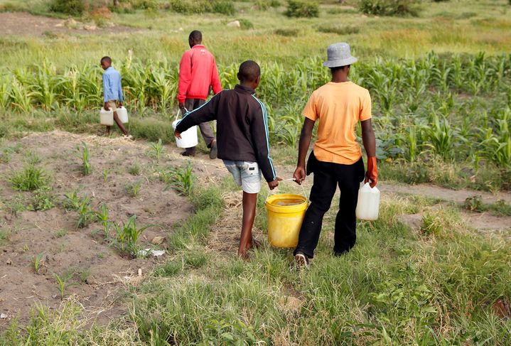 Des habitants reviennent d'un forage où ils ont pris de l'eau, près de Bulawayo, dans le sud-ouest du Zimbabwe. Photo prise le 17 janvier 2020. (REUTERS - PHILIMON BULAWAYO / X02381)