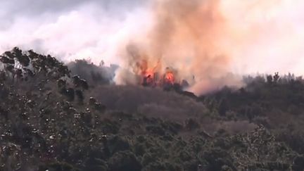 Des incendies toujours en cours en Corse (france 3)