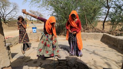 VIDEO. Inde : nouveau record de chaleur, le thermomètre monte à 51°C dans le Nord