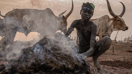 A l’aube, les plus jeunes brûlent des bouses de vache pour réchauffer le camp. &nbsp; (STEFANIE GLINSKI / AFP)
