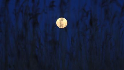 La Lune, ici le 19 février 2019, est une source inépuisable d'inspiration pour les artistes. (LOIC VENANCE / AFP)