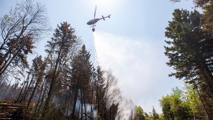 Un hélicoptère largue de l'eau près de la ville de Halifax, le 1er juin 2023. Samedi, il y avait encore 214 incendies actifs sur l'ensemble du pays, contre lesquels luttent activement les pompiers. (HANDOUT / NOVA SCOTIA GOVERNMENT / AFP)