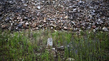 près de 35.000 hommes, femmes et enfants ont été déclarés disparus lors des guerres de Yougoslavie (1991-1999). Il reste près de 11.000 cas non résolus. Le Mouvement international de la Croix-Rouge et du Croissant-Rouge, le plus important regroupement d'organisations humanitaires au monde présent dès le début du conflit yougoslave, a immédiatement collecté les nombreuses demandes de recherches des disparus. Grâce à ces données, il a pu faire pression sur les autorités pour que celles-ci mettent tout en œuvre pour savoir comment et où ils ont été tuées. (REUTERS / Dado Ruvic)