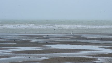 Une plage du Touquet (Pas-de-Calais), le 28 janvier 2018.&nbsp; (MAXPPP)