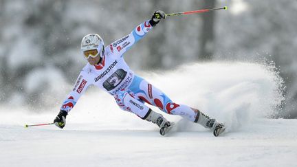 Alexis Pinturault  (CHRISTOF STACHE / AFP)