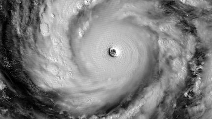 Une image satellite du supertyphon Vongfong&nbsp;dans l'oc&eacute;an Pacifique, captur&eacute;e par la Nasa, le 8 octobre 2014. ( NASA / AFP )