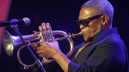 Hugh Masekela, janvier 2015
 (PIUS UTOMI EKPEI / AFP)