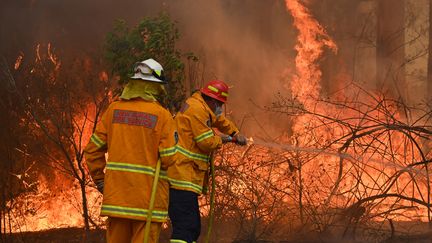 Des pompiers tentent d'éteindre un feu à Taree, à l'est de l'Australie, le 9 novembre 2019. (PETER PARKS / AFP)