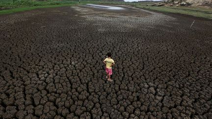 les précipitations ont diminué, les températures ont augmenté, et le changement climatique a aggravé la situation, selon Eduardo Martins, chef de l’agence météorologique de l'Etat de Ceará. Alors que les demandes pour irriguer les sols sont en hausse, les réserves d'eau s’amenuisent et l'évaporation s’accélère. La vague de sécheresse qui frappe le Nordeste depuis 2012, est très préoccupante. La pire remonte à 1910, le dernier épisode similaire remontant aux années 1979-1983.  (Ueslei Marcelino/REUTERS)