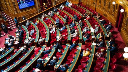 L'hémicycle du Sénat, le 9 septembre 2021. (XOSE BOUZAS / HANS LUCAS / AFP)