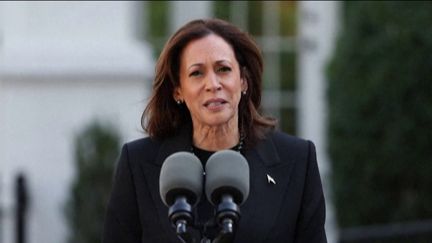 Ouragan Milton : quelles sont les positions de Donald Trump et Kamala Harris sur l'environnement ? (franceinfo)