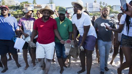 Le Cap en Afrique du Sud (RODGER BOSCH / AFP)