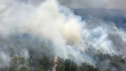 Une photo du gigantesque incendie qui a ravagé l'Australie en 2020. (HANDOUT / QUEENSLAND FIRE AND EMERGENCY SE)