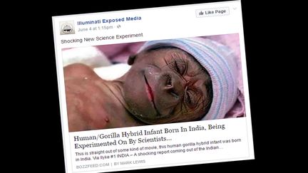 &nbsp; (Le faux bébé hybride Hurilla. © Capture d'écran Facebook)