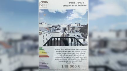 Une agence immobilière parisienne propose un studio d'un volume de 21,17m3 à la vente.&nbsp; (DELPHINE JULIE / FACEBOOK)