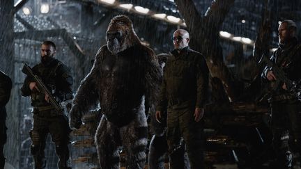 La planète des singes - suprématie de Matt Reeves sort en salle le 2 aôut
 (Copyright Twentieth Century Fox France)