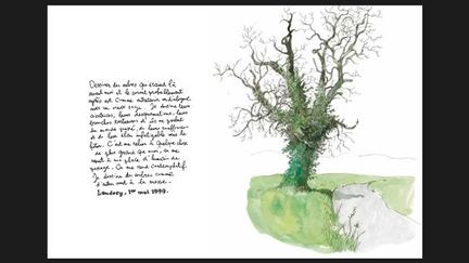 &quot;Dessiner des arbres qui étaient là avant moi et le seront probablement après est comme entretenir un dialogue avec un vieux sage (...) C&#039;est me relier à quelque chose de plus grand que moi, ça me remet à ma place d&#039;humain de passage. Ca me rend contemplatif. Je dessine les arbres comme d&#039;autres vont à la messe&quot;.
 (Zep / Editions Gallimard)