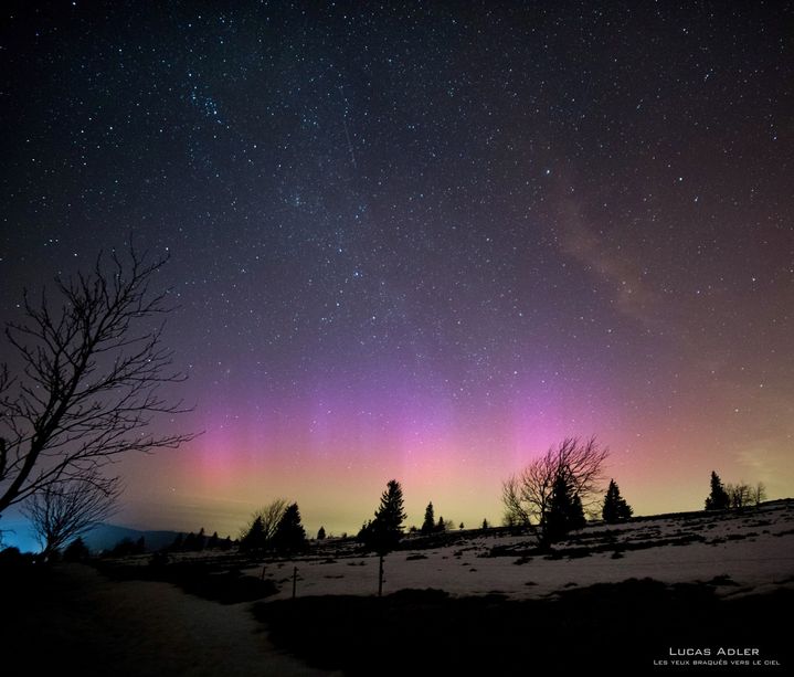 Une aurore bor&eacute;ale photographi&eacute;e dans le massif du Champ du Feu (Vosges), le 17 mars 2015. (LUCAS ADLER / LES YEUX BRAQUES VERS LE CIEL)