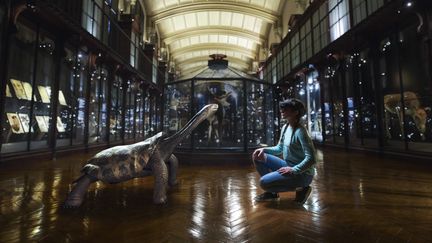 Expérience REVIVRE au Muséum d'Histoire naturelle. (SAOLA Studio_MNHN)