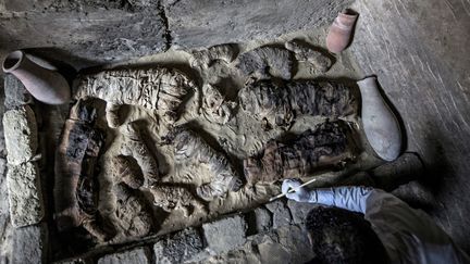 Nécropole de Saqqara : des archéologues nettoient des momies de chats dans une des tombes découvertes.
 (KHALED DESOUKI / AFP)