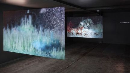 Hicham Berrada, Vidéos des performances scientifiques de l’artiste, 2013, installation présentée à Merville-Franceville, Calvados, dans le cadre du MéPIC.
 (Aurélien Mole)