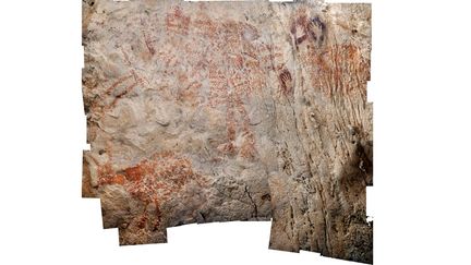 Peinture d'un animal dans une grotte d'Asie, datée d'au moins 40.000 ans, fournie par la revue Nature le 7 novembre 2018
 (Luc-Henri FAGE / KALIMANTHROPE.COM / NATURE PUBLISHING GROUP / AFP)