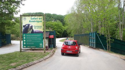 Le zoo de Thoiry (Yvelines) a rouvert ses portes mercredi 12 mai 2021, pour les safaris uniquement. (Theo Boscher / RADIO FRANCE)