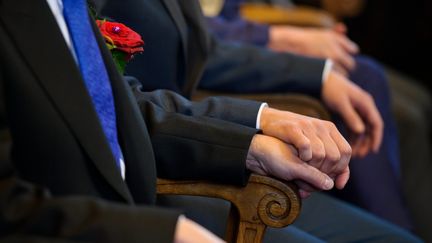 Mariage homosexuel : l'Irlande s'apprête à passer un cap