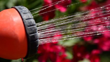 The Court of Auditors points out in the fee on water withdrawals is "borne up to 75% by individuals who represent only 16.4% of direct debits".  (ROMAIN DOUCELIN / HANS LUCAS / AFP)