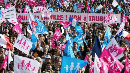 Des drapeaux de La Manif pour tous lors de la mobilisation du 21 avril 2013, &agrave; Paris. (THOMAS SAMSON / AFP)