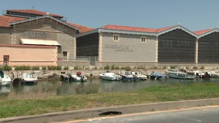 Le Conservatoire intercommunal de musique de Sète, Manitas de Plata (France 3 Languedoc-Roussillon)