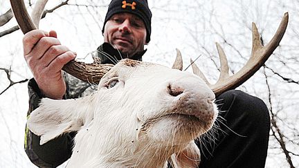 Un chasseur am ricain menac apr s avoir abattu un cerf albinos