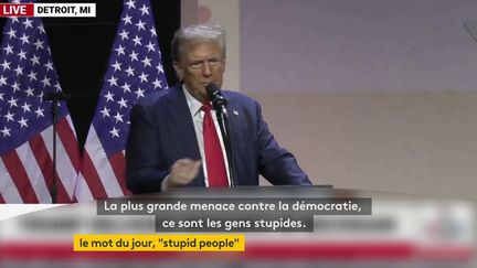 Présidentielle américaine 2024 : qui sont les "stupid people", qui pourraient avoir un impact sur le scrutin ? (franceinfo)