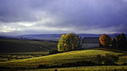 La région de l'Aubrac en Lozère, le 12 mars 2020. (DOMINIQUE ZINTZMEYER/ ONLYFRANCE / ONLY FRANCE)