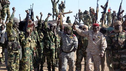 Soldats tchadiens près de la ville de Gambou en territoire nigérian, le 1er février 2015. (Photo AFP )