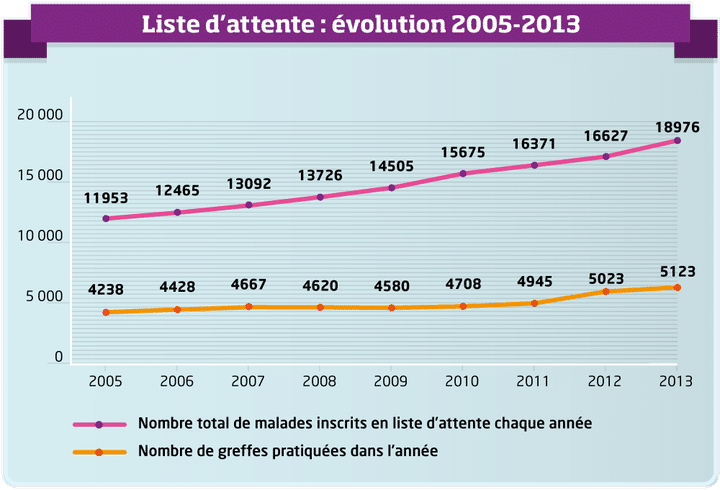 &nbsp; (DON D'ORGANES.FR / FRANCETV INFO)