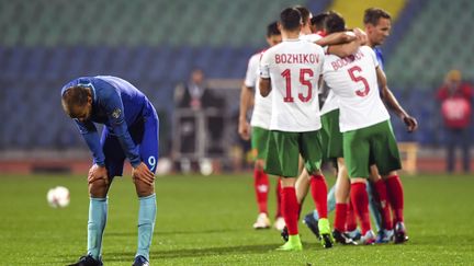 La Bulgarie assomme les Pays-Bas (2-0). (DIMITAR DILKOFF / AFP)