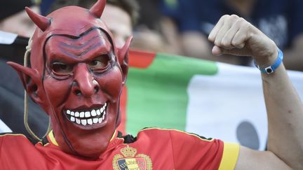 Un supporter belge masqu&eacute; pose avant le match contre la Cor&eacute;e du sud, le 26 juin 2014 &agrave; S&atilde;o Paulo (Br&eacute;sil). (MARTIN BUREAU / AFP)