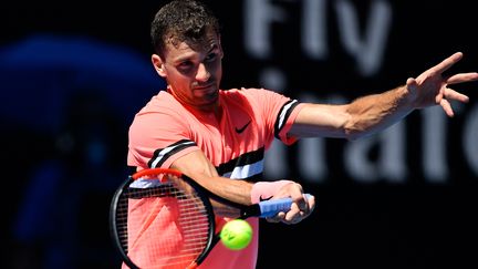 Grigor Dimitrov (GREG WOOD / AFP)