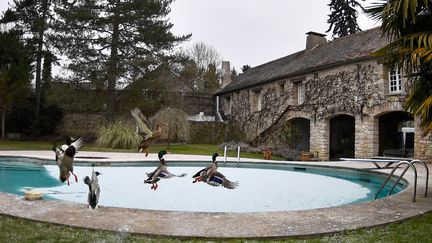 Le moulin de Claude François à Dannemois dans l'Essonne (GERARD JULIEN / AFP)