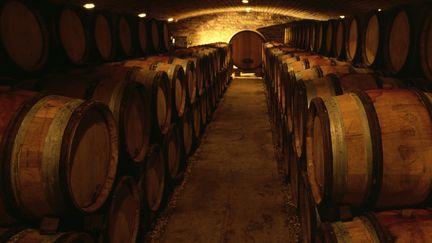 Une cave &agrave; vins en Bourgogne, le 2 f&eacute;vrier 2006. (ELYAS BARBIER / BIOSPHOTO / AFP)