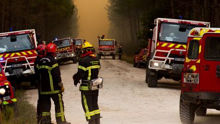 Des pompiers mobilisés pour faire face aux incendies en Gironde, à Saumos, le 13 septembre 2022.&nbsp; (LAURENT PERPIGNA IBAN / HANS LUCAS / AFP)