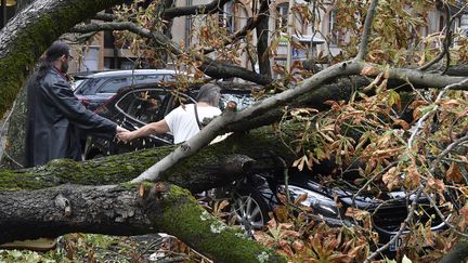 Une autre voiture emprisonn&eacute;e par un arbre, toujours &agrave; Montauban le 1er septembre 2015. (PASCAL PAVANI / AFP)