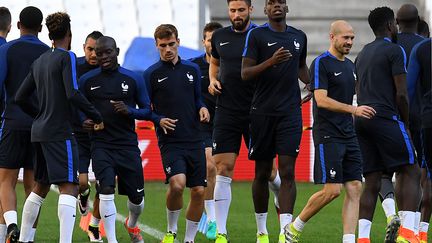 L'équipe de France à l'entraînement sur la pelouse du Stade Vélodrome (FRANCK FIFE / AFP)