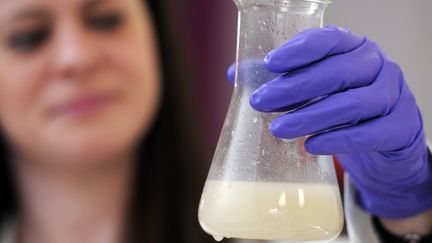 Une technicienne analyse le jus de choucroute &agrave; Meistratzheim, pr&egrave;s de Krautergersheim (Bas-Rhin).&nbsp; (FREDERICK FLORIN / AFP)